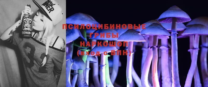 где можно купить наркотик  Верещагино  Псилоцибиновые грибы MAGIC MUSHROOMS 